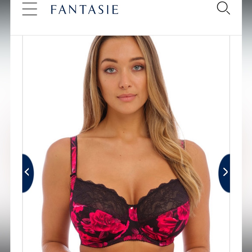 Beautiful Elomi and Fantasie Bras size 38H